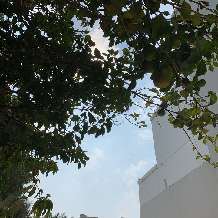 My Crowdsourcing Posts