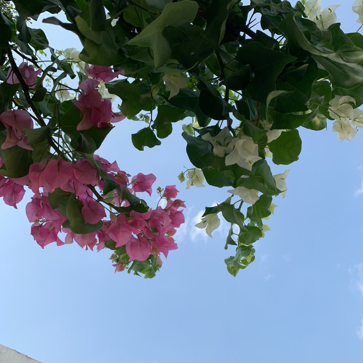 My Crowdsourcing Posts