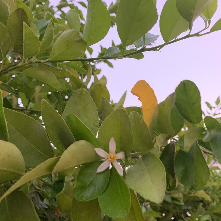 My Crowdsourcing Posts