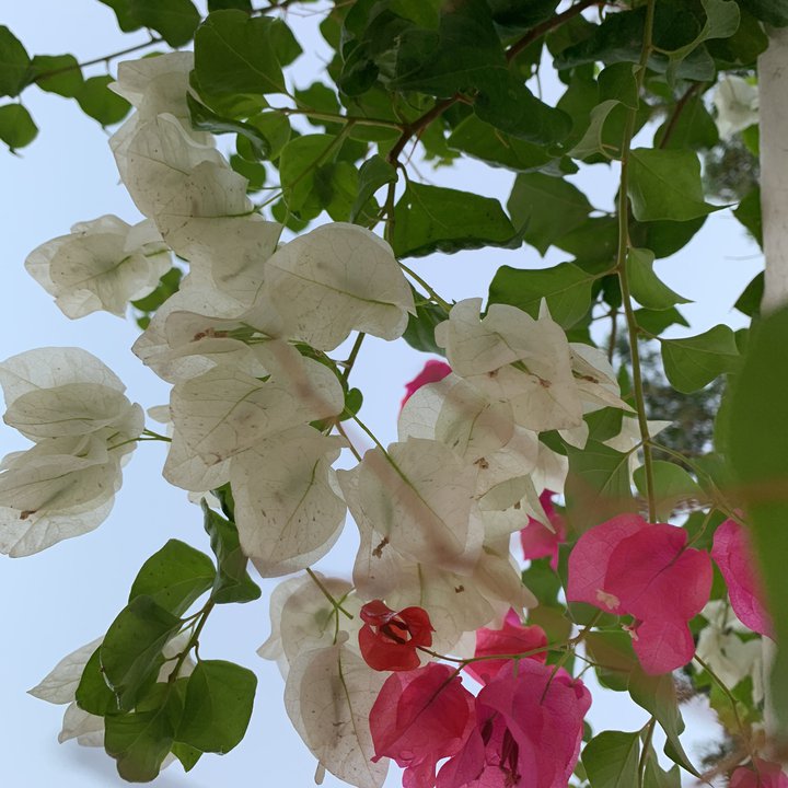 My Crowdsourcing Posts