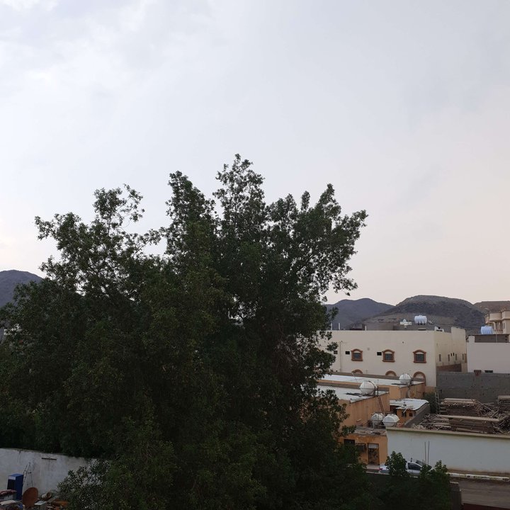 My Crowdsourcing Posts