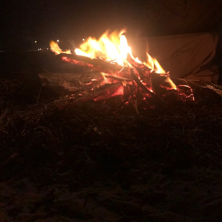 مشاركاتي في أنت الراصد