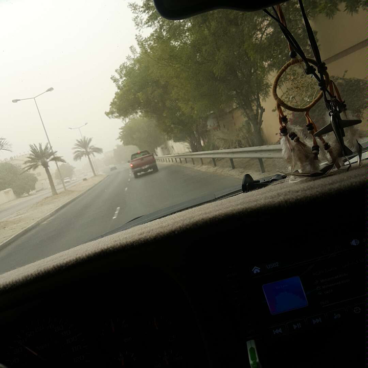 مشاركاتي في أنت الراصد