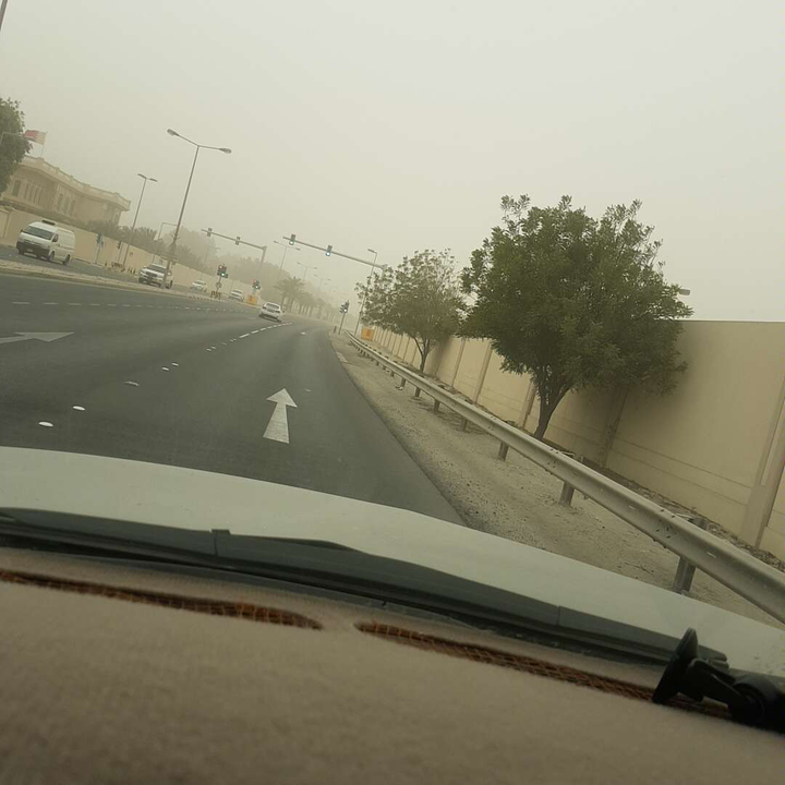 مشاركاتي في أنت الراصد