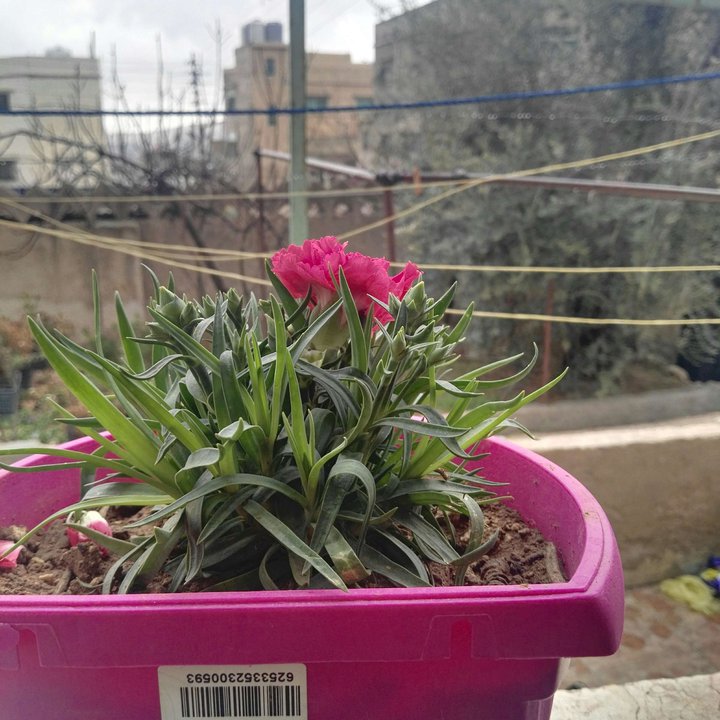 My Crowdsourcing Posts