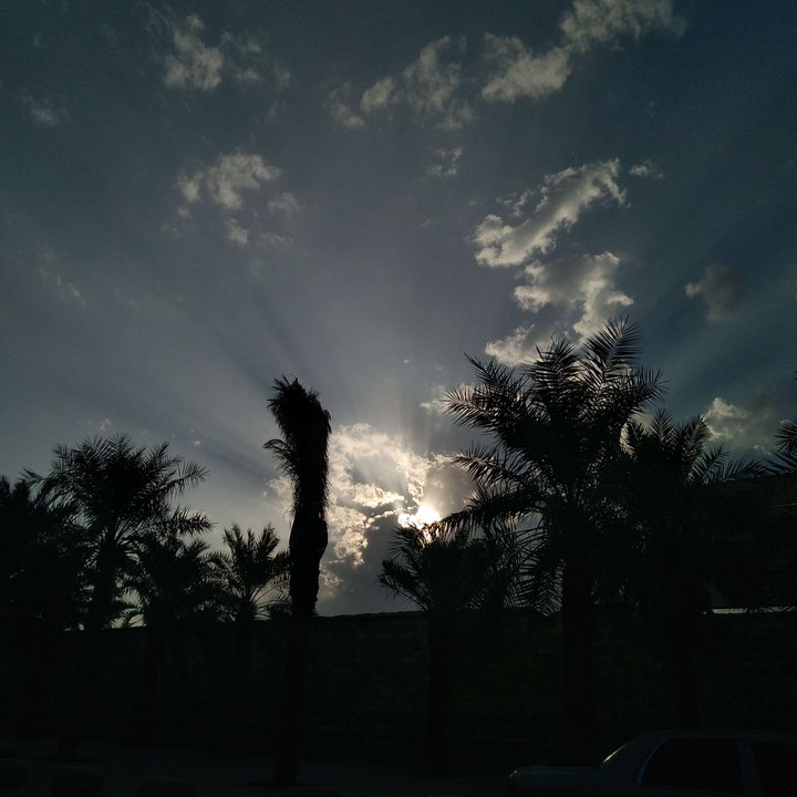 مشاركاتي في أنت الراصد