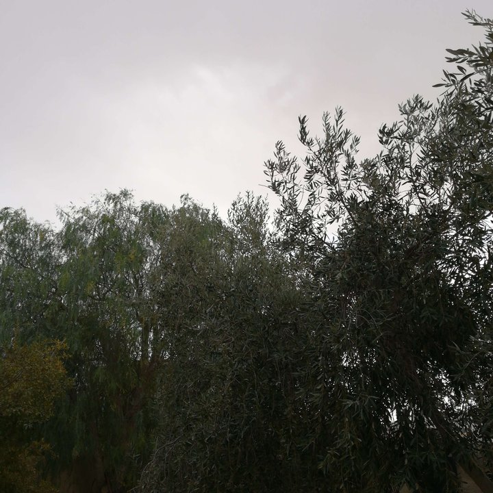 My Crowdsourcing Posts