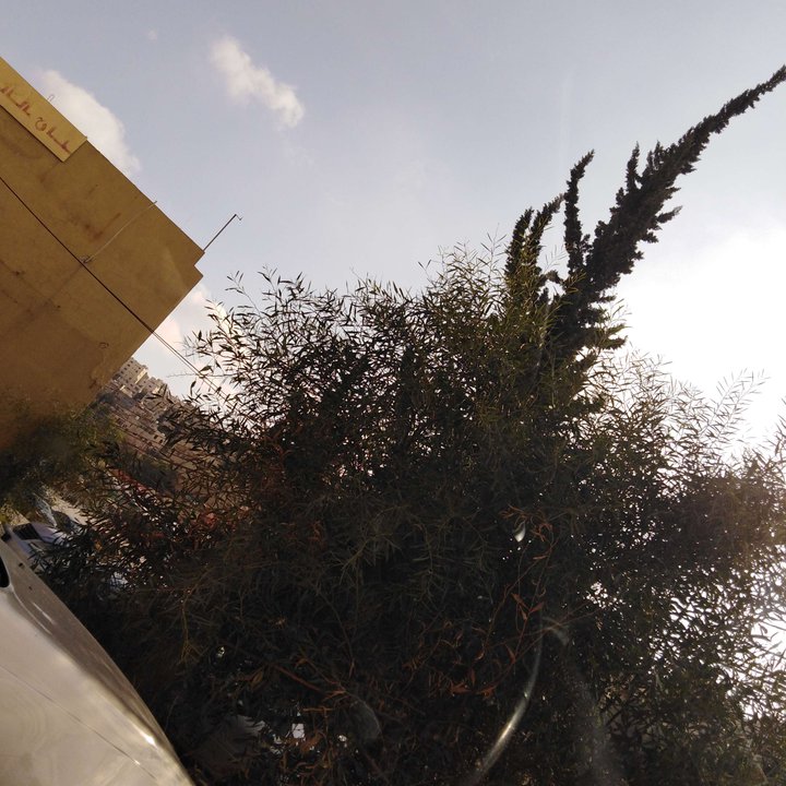 My Crowdsourcing Posts