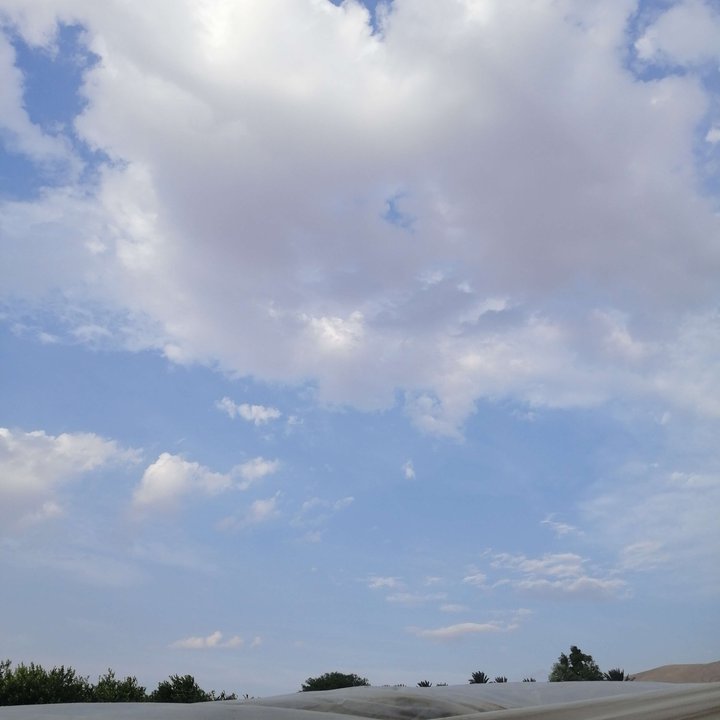 My Crowdsourcing Posts