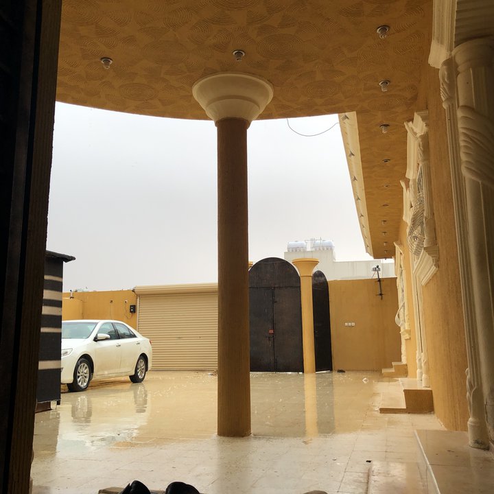 مشاركاتي في أنت الراصد