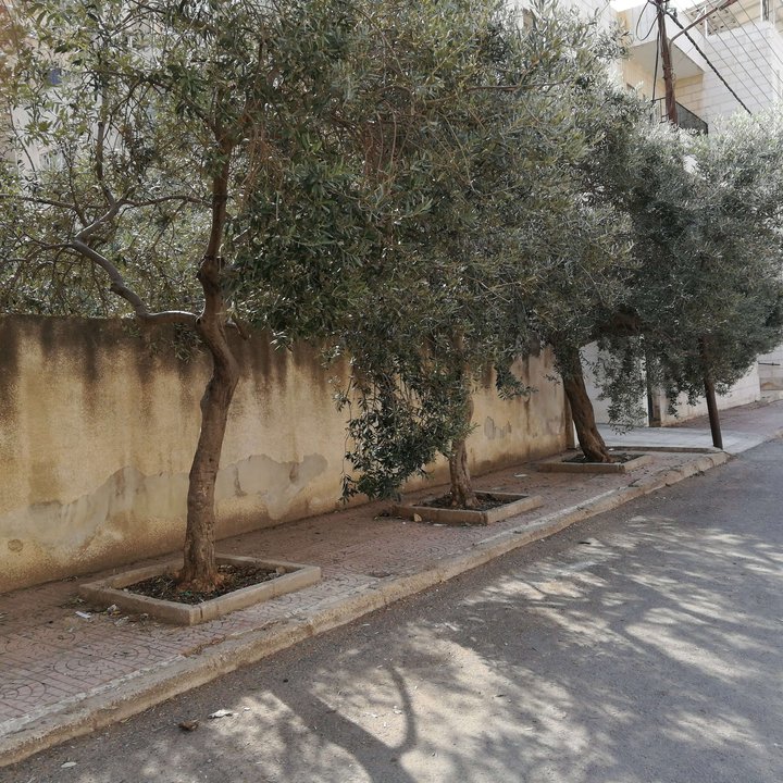 My Crowdsourcing Posts