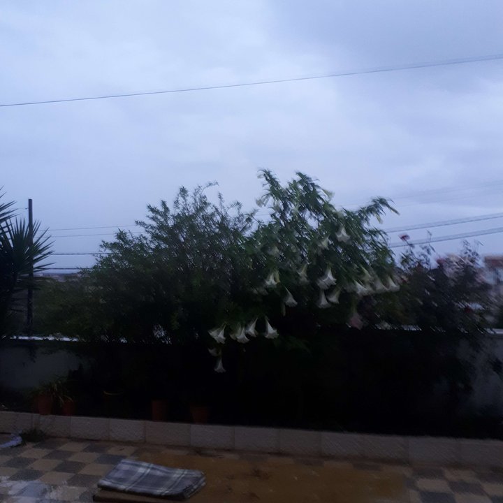 My Crowdsourcing Posts