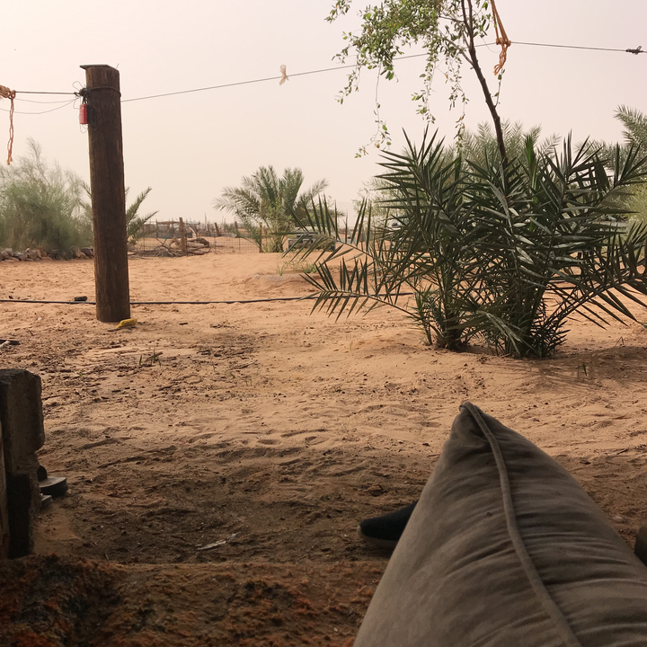 مشاركاتي في أنت الراصد