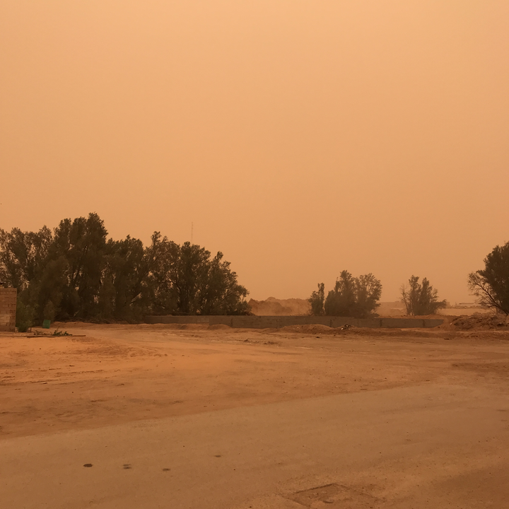 مشاركاتي في أنت الراصد