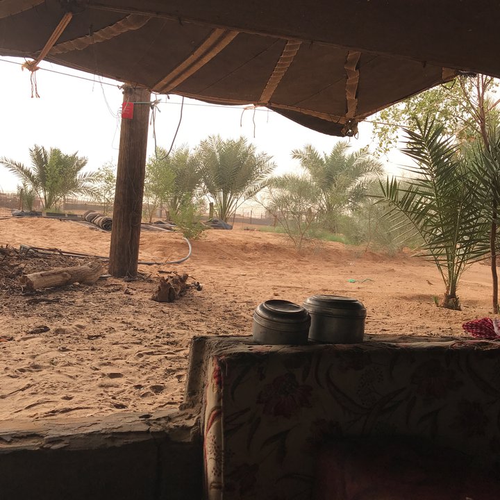 My Crowdsourcing Posts