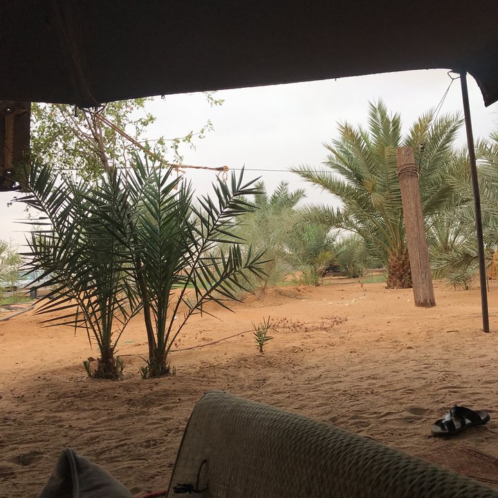 My Crowdsourcing Posts