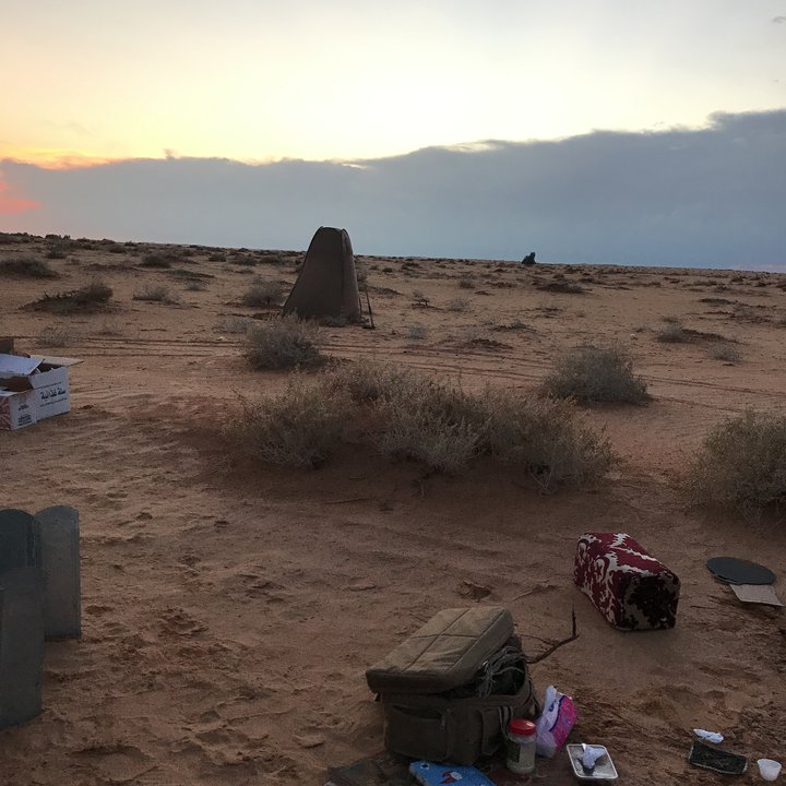 مشاركاتي في أنت الراصد