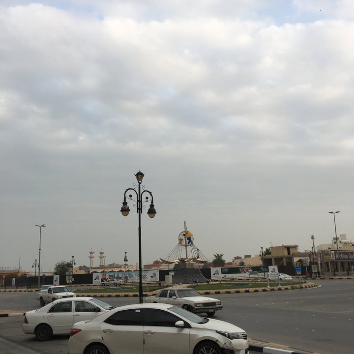 مشاركاتي في أنت الراصد