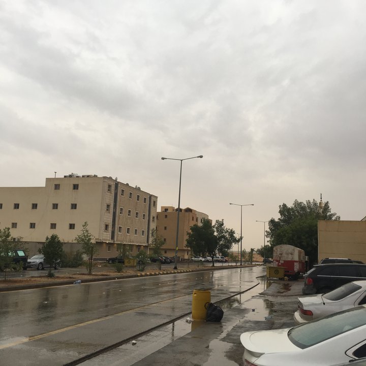 مشاركاتي في أنت الراصد