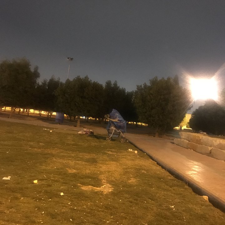 مشاركاتي في أنت الراصد