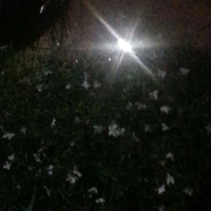 My Crowdsourcing Posts