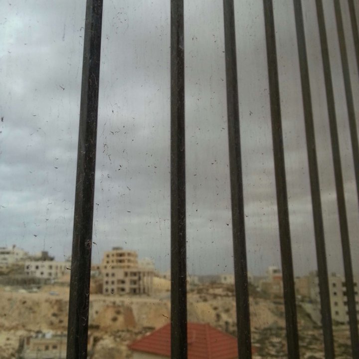 My Crowdsourcing Posts