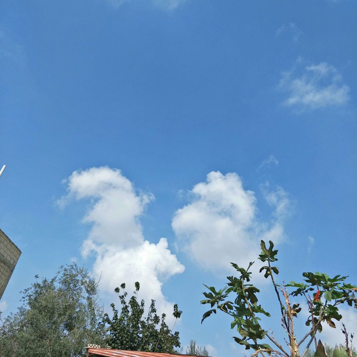 My Crowdsourcing Posts