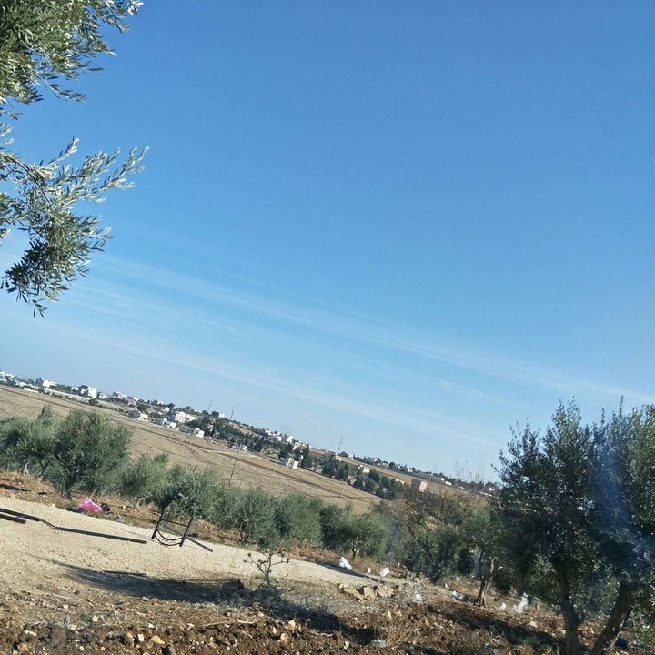 My Crowdsourcing Posts