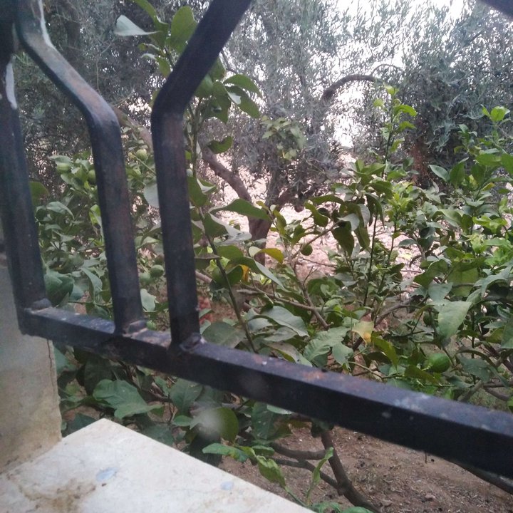 My Crowdsourcing Posts