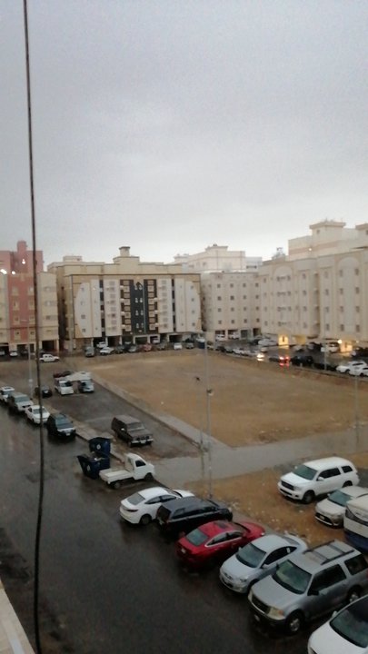 مشاركاتي في أنت الراصد