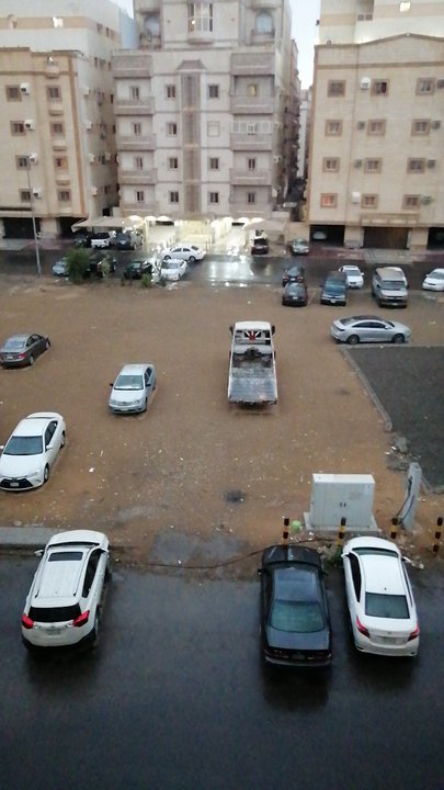 مشاركاتي في أنت الراصد