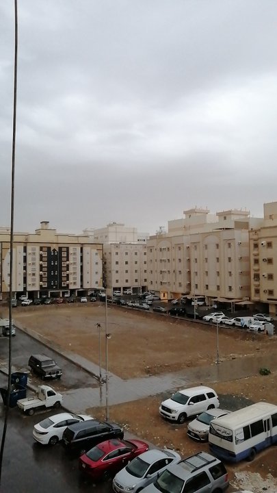 مشاركاتي في أنت الراصد