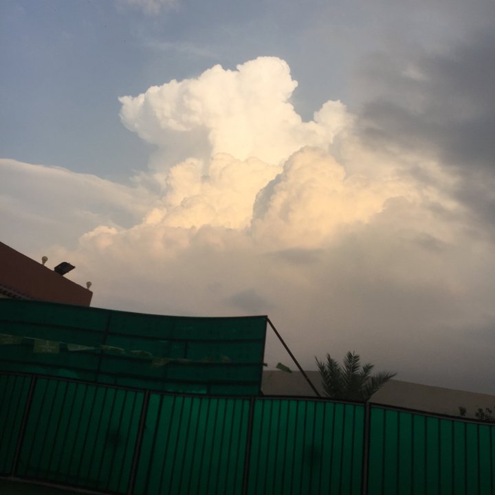 مشاركاتي في أنت الراصد