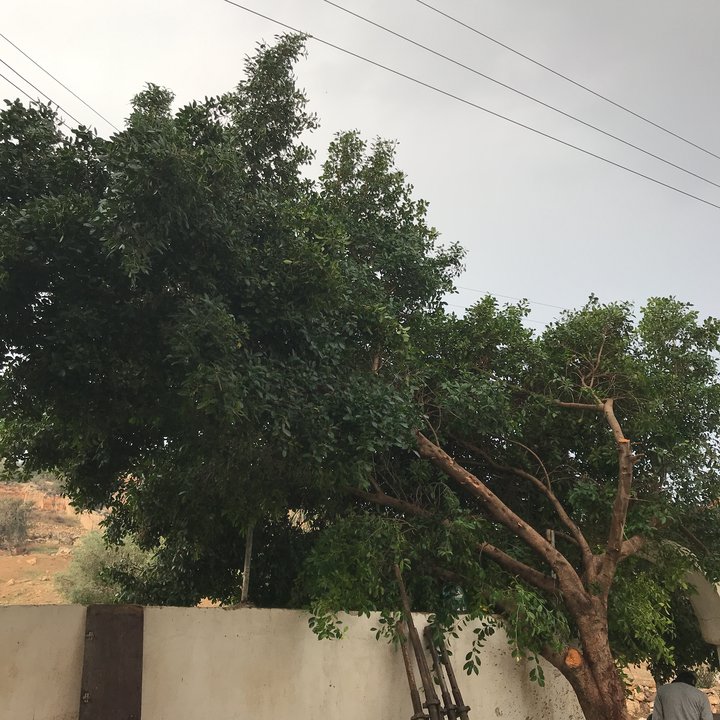 My Crowdsourcing Posts