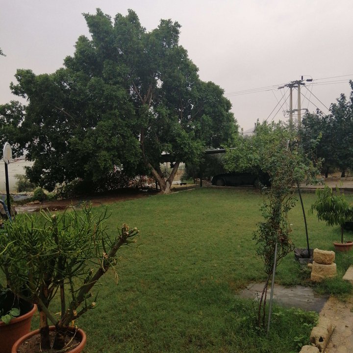 My Crowdsourcing Posts