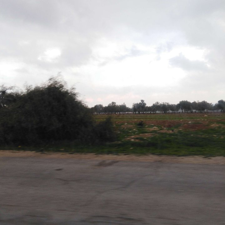 My Crowdsourcing Posts