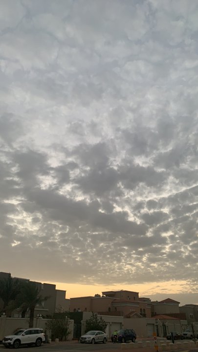 مشاركاتي في أنت الراصد