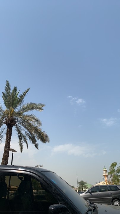 مشاركاتي في أنت الراصد