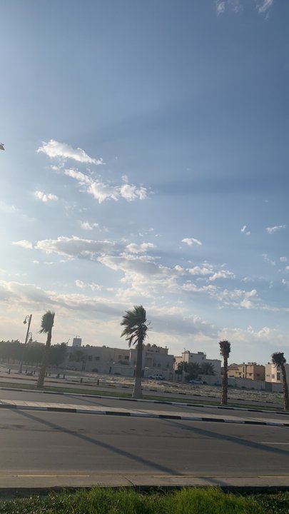 مشاركاتي في أنت الراصد