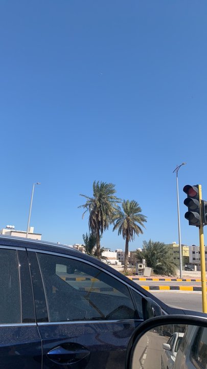 مشاركاتي في أنت الراصد