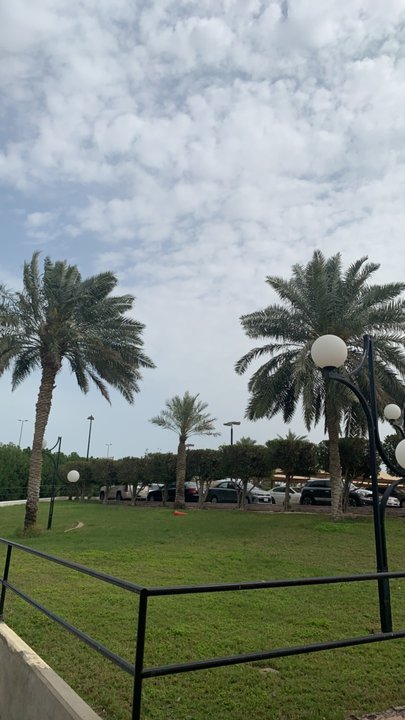 مشاركاتي في أنت الراصد