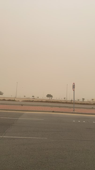 مشاركاتي في أنت الراصد