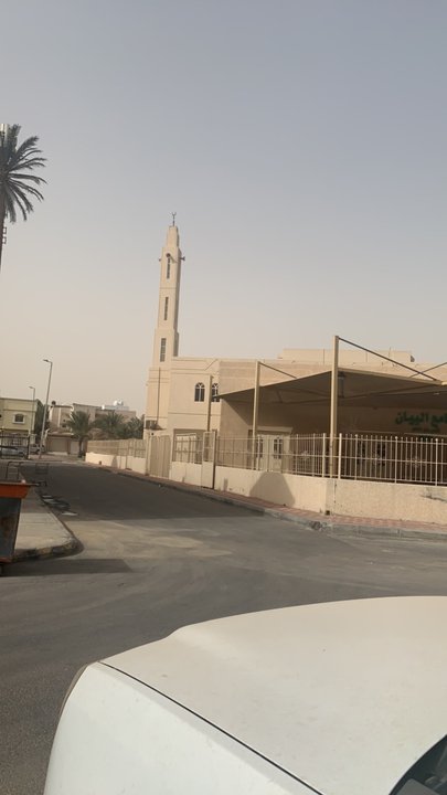 مشاركاتي في أنت الراصد