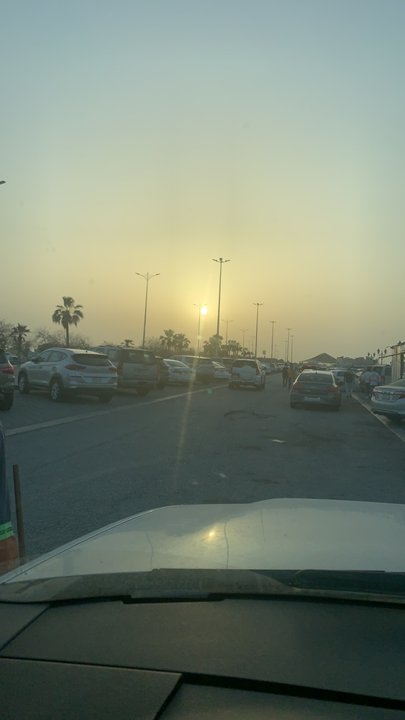 مشاركاتي في أنت الراصد