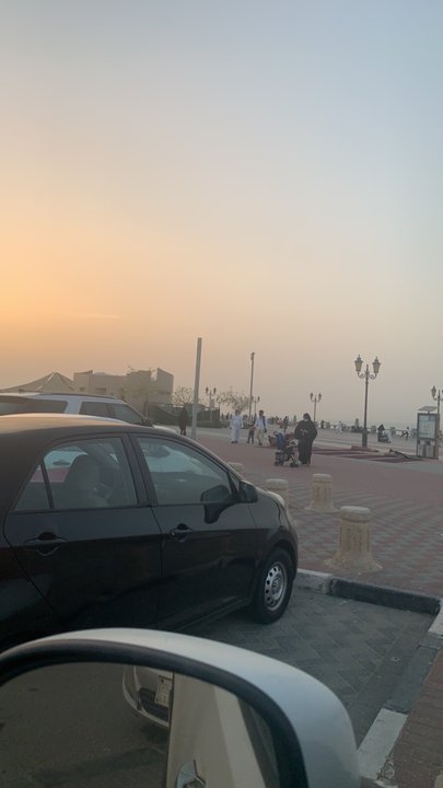 مشاركاتي في أنت الراصد