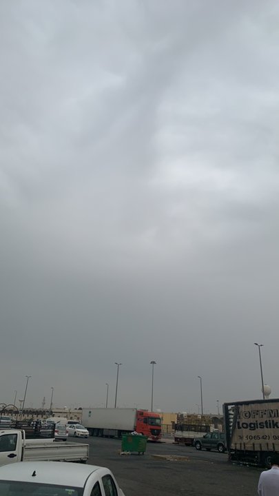 مشاركاتي في أنت الراصد