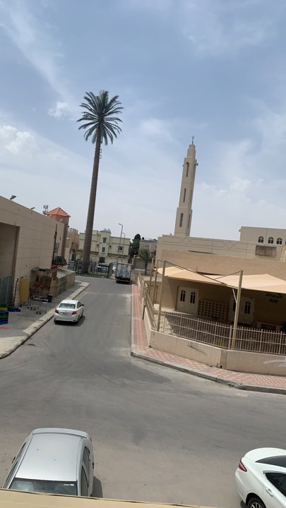 مشاركاتي في أنت الراصد