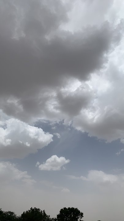 مشاركاتي في أنت الراصد