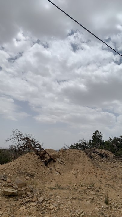 مشاركاتي في أنت الراصد