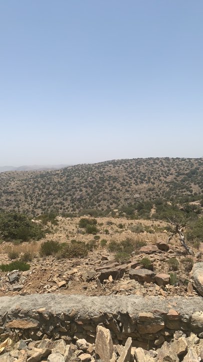 مشاركاتي في أنت الراصد